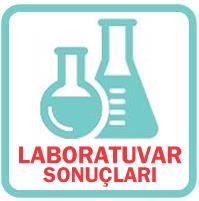 Online Laboratuvar